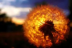 有一种人，能让天蝎座投降，有一种人，能让天蝎座自卑图片