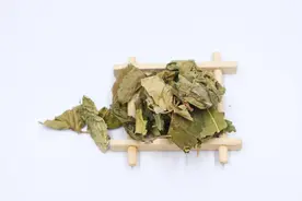 桑树全身都是“宝”，尤其是这一部位功效颇多，这3大功效请知晓图片