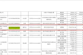 山东十强民企弘润石化登上“欠税清单”，欠税余额3.7亿元图片