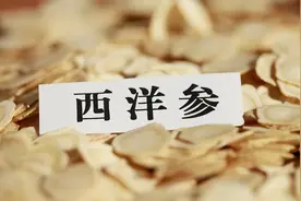 西洋参不能随便吃，医生建议：为了健康，请牢记5个禁忌图片