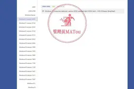 Windows系统下载安装一步到位，永久激活神器助你轻松上手！图片