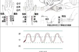中医把脉没有那么神秘，每个人都可以学习，看看这个中医脉象图片