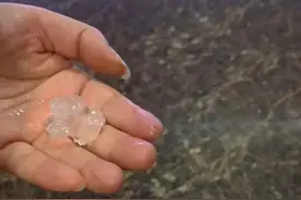 昨晚！遵义多地下冰雹了！图片