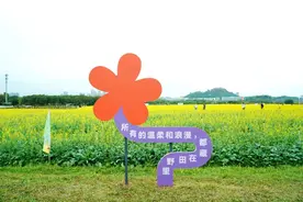 港人打卡光明最钟意哪里？我们“港”你知~图片