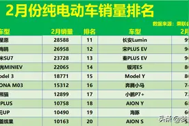 怎一个惨字了得！2月纯电车销量榜：仅10款破万，Model Y滑至第15图片