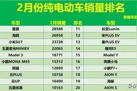 怎一个惨字了得！2月纯电车销量榜：仅10款破万，Model Y滑至第15图片