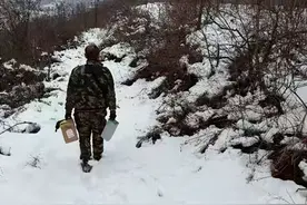 甘肃农民放羊遭遇猛兽，大雪中被困2小时，野兽为何频频下山图片