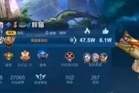 胖猫跳江引全网共情，网友：钱竟然不是万能的！图片