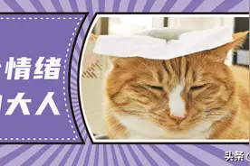 主人越疯，猫咪情绪越稳定，是真的吗？图片