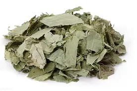 每日一味中草药：淫羊藿图片