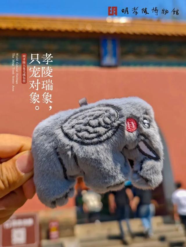 来都来了，就别空手走了！
