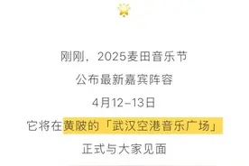 黄陂2025第一场音乐节，阵容官宣，文末有福利！图片