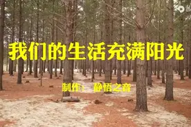 【纯音汇】笛子曲好听的纯音乐《我们的生活充满阳光》完整版图片