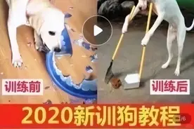 pdd的广告真的会把我笑死图片