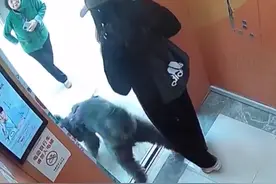 无接触式宠物伤人案判了！重庆一女子宠物狗吓倒老人，赔偿近4万图片