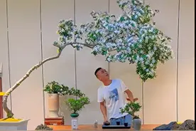 福建一女子，晒出“老公养的栀子花”而走红，那叫一个壮观，晒晒图片