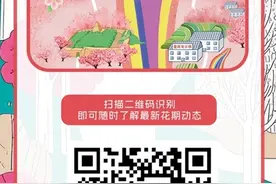 【2025秦安桃花会】2025年甘肃秦安桃花会花期预报小程序上线啦！图片