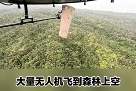 夏威夷惊人一幕：空投数万只蚊子图片