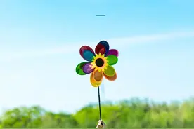 风湿关节僵硬肿痛的中医诊疗思路：四味中药用好，通关节，祛肿痛图片