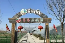 岳村街道，富！图片