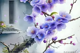 傲雪寒梅：坚韧与优雅的象征图片