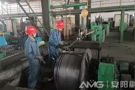 安阳加快催生新质生产力一线观察丨绿色“小巨人”是如何长成的图片