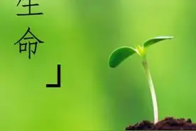 生命的起源与发展图片