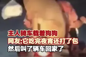 主人骑车载着狗子 一个敢给一个敢提！图片