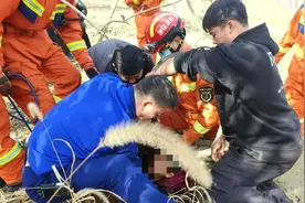 杭州男孩坠入雨水井，为啥井盖是木板？属地回应：已约谈养护单位图片