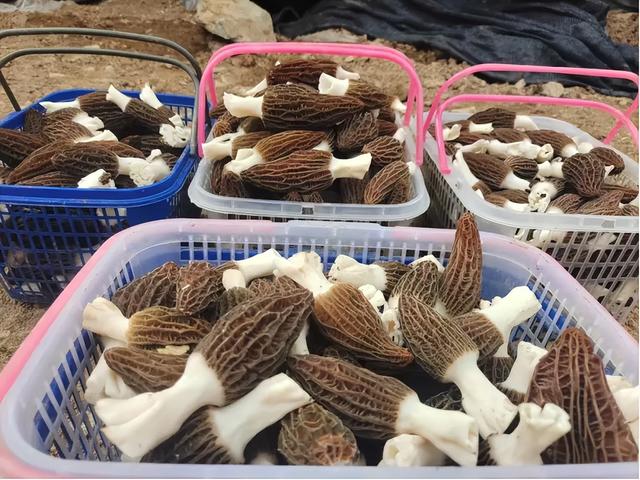 五一走进两当，追寻红色记忆