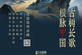 古树长歌 | 百年重阳木下， 一缕药香跨古今图片