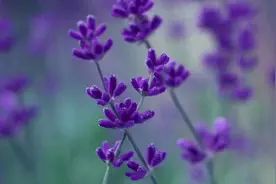 十日谈 | 多年故事，未完待续图片