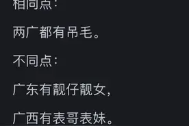 两广地区（广西和广东）有什么异同？网友评论：两广就像个大粽子图片