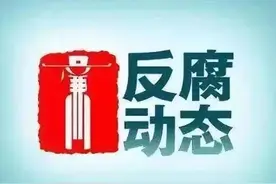 赵长龙、郭建鑫、张阿福被查，潘海、梁显泉、袁尚凯、供波甲被“双开”，郑志勇一审获刑18年图片