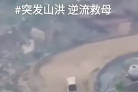 《突发洪水，逆流救母》山洪大哥开皮卡车洪水中逆流而上救出母亲图片