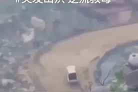 《突发洪水，逆流救母》山洪大哥开皮卡车洪水中逆流而上救出母亲图片