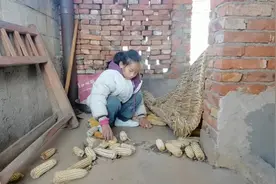 没有妈妈，爸爸一年回家一次，11岁女孩和爷爷相依为命图片