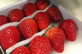 草莓不能吃了？关于草莓的这些传言，真相到底如何？图片