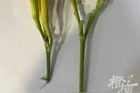 这种象征母爱的“花”，把杭州夫妻双双毒翻！严重者可致死图片