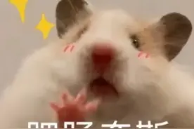 准本科生必看！地矿高校报考指南来了！图片