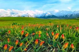 “5·19中国旅游日” 新疆这些景区免门票→图片