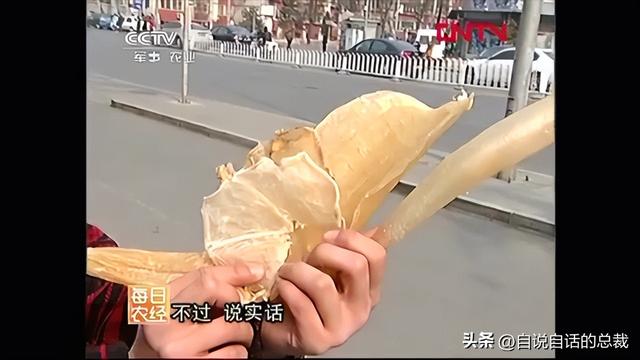 花胶多少钱一斤2021 2026年花胶多少钱一斤2025年价格表图片