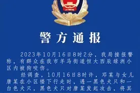 铁铁科普：我家的狗子可以坐地铁吗？图片