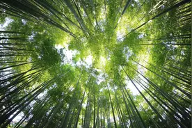揭秘中年夫妇的浪漫生活，让人羡慕不已的甜蜜日常！图片