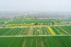 土壤碳氮循环综合研究支撑农业可持续发展丨中国科学院野外台站图片