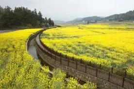 【我们的节日•春节】城里待腻了？文山周边这些地方你值得拥有！图片
