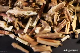 这个中成药是胆结石的“克星”，能够助力结石由大化小，顺利排出图片