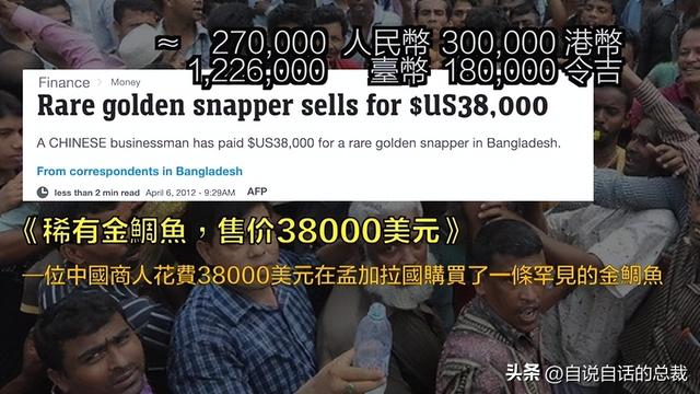 美国陈年花胶 2026年陈年花胶价格