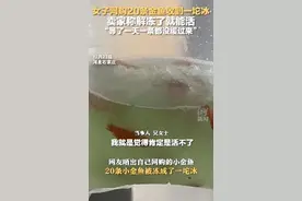 女子网购20条金鱼收到一坨冰，卖家称解冻了就能活图片