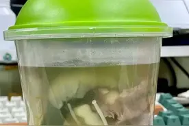 每天一乐，搞笑动图，外卖包装，现在都那么高级了？图片